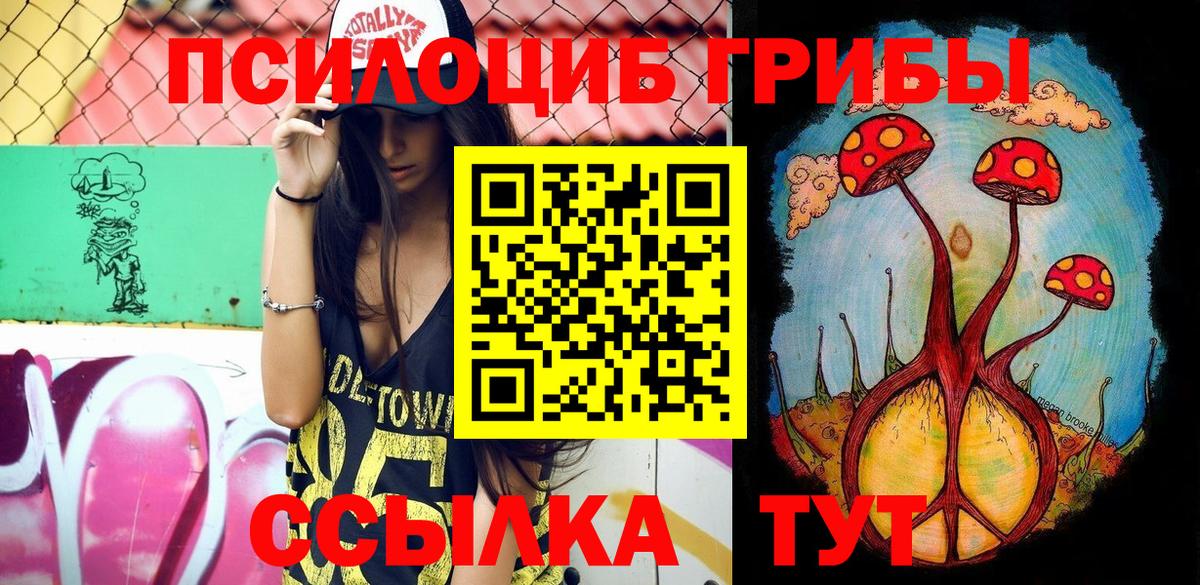 Галлюциногенные грибы Psilocybe  Вход с VPN  наркошоп  Магадан 